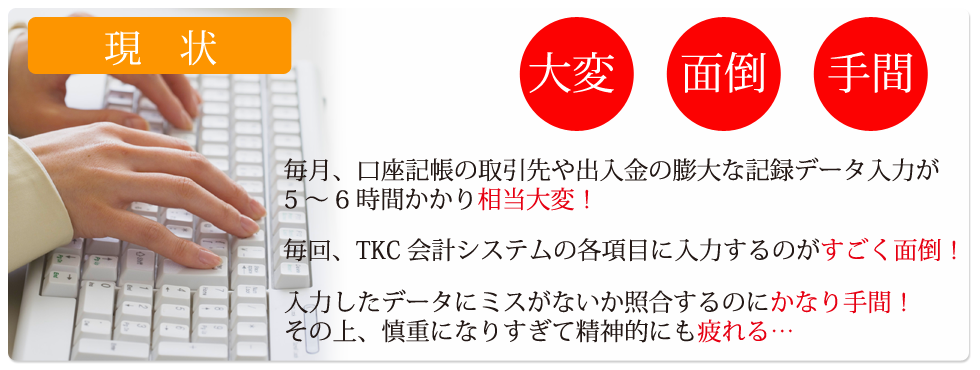 現状　毎月の口座の記帳の取引先や出入金の膨大な記録データを
拾って入力するのに5～6時間程度かかり相当大変！毎回、TKC会計システムの各項目に入力するのがすごく面倒！入力したデータにミスがないか照合するのにかなり手間！その上、慎重になりすぎて精神的にも疲れる…